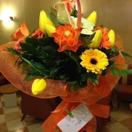 Hotel Raffaello Venice 3*