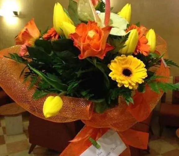 Hotel Raffaello Venice 3*